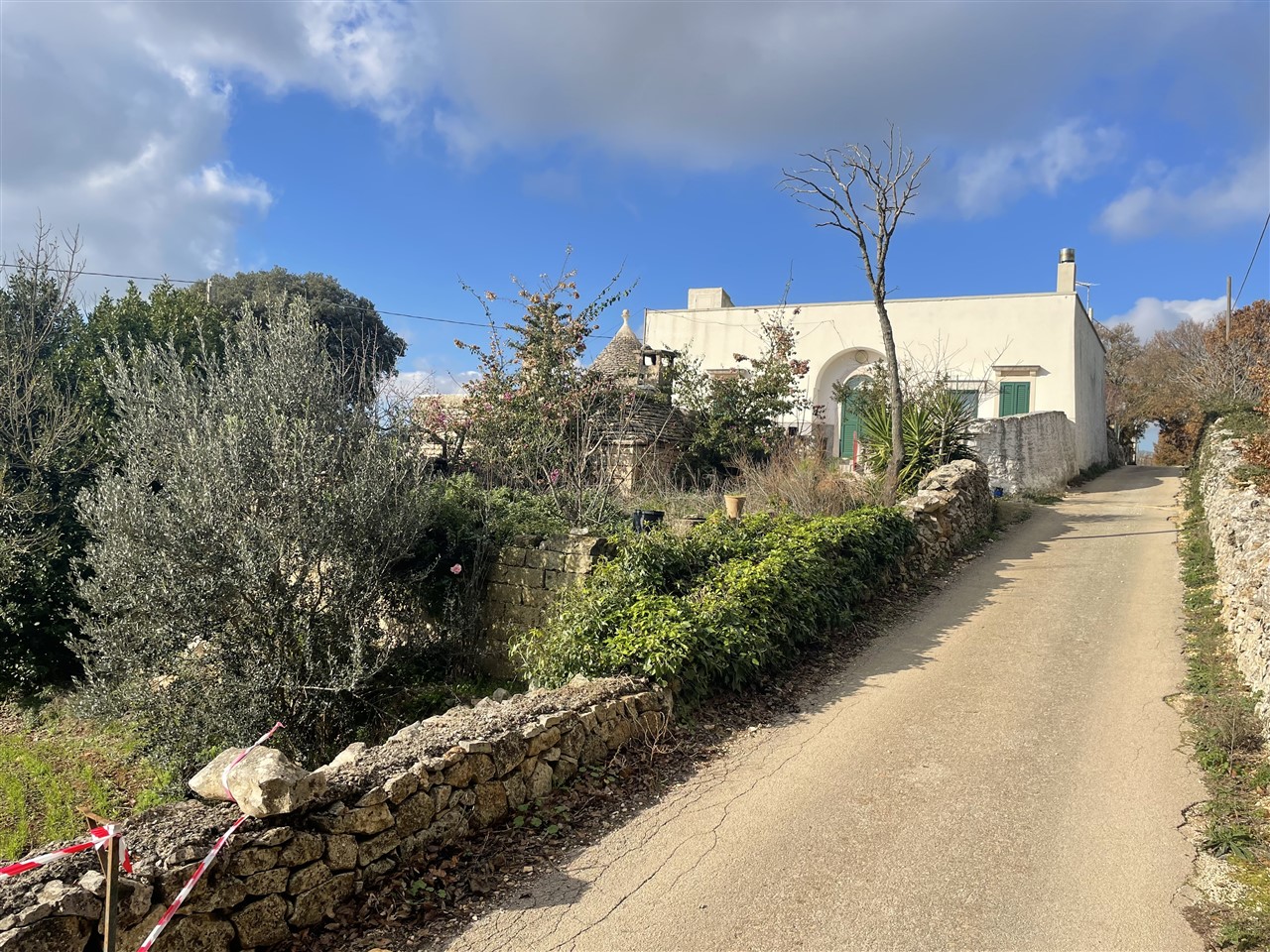 House in Martina Franca - view 1