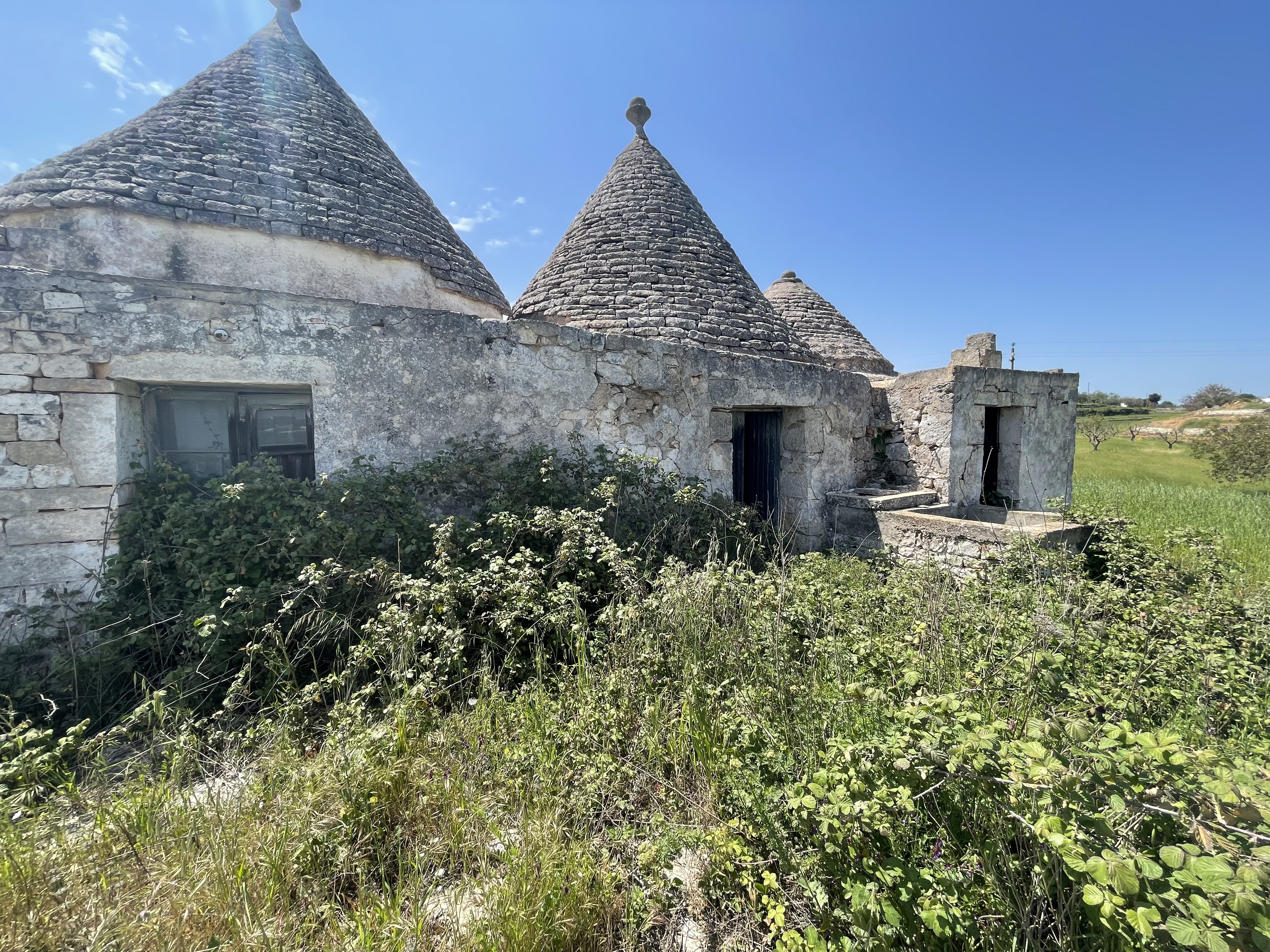 House in Martina Franca - Image 3