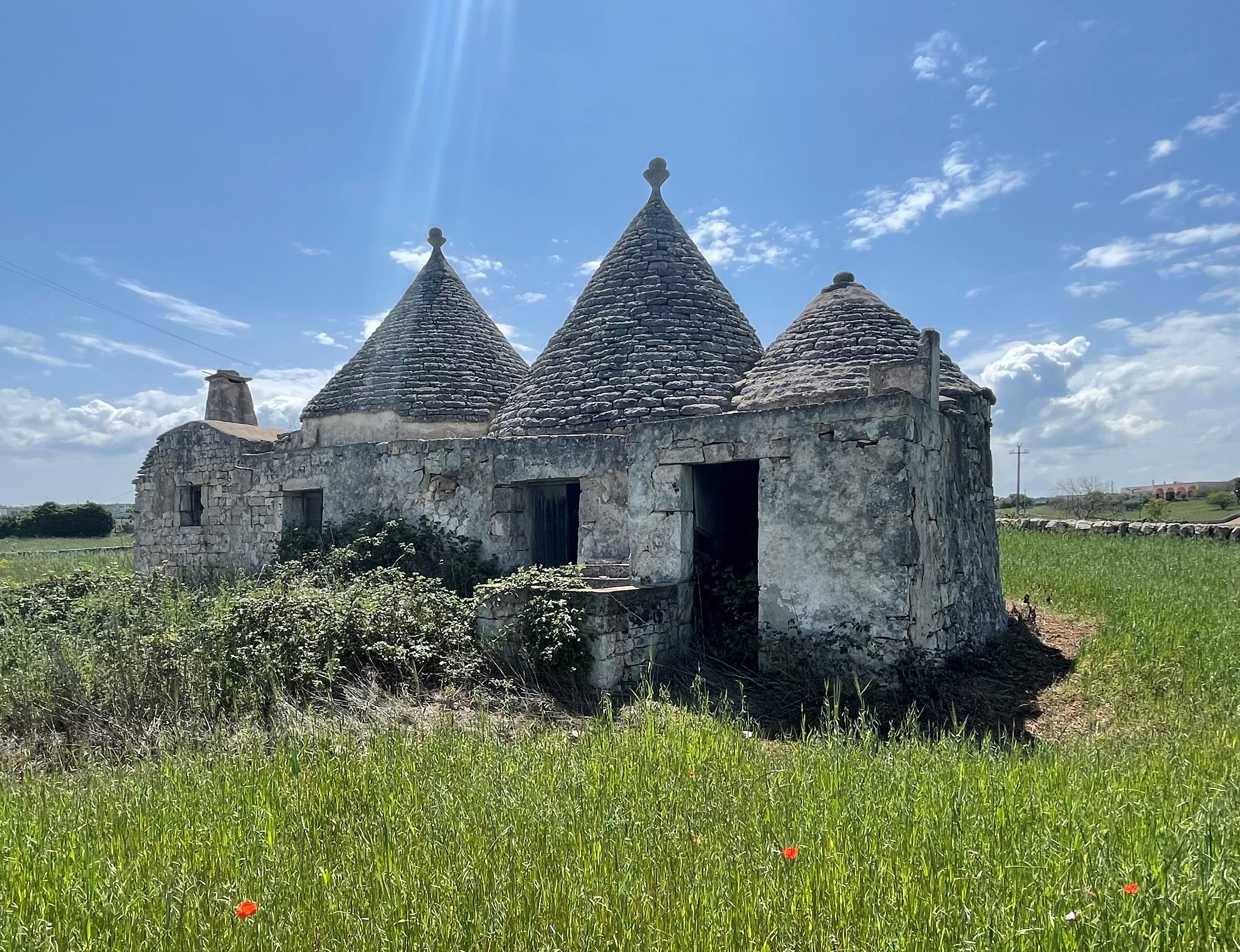 House in Martina Franca - Image 4