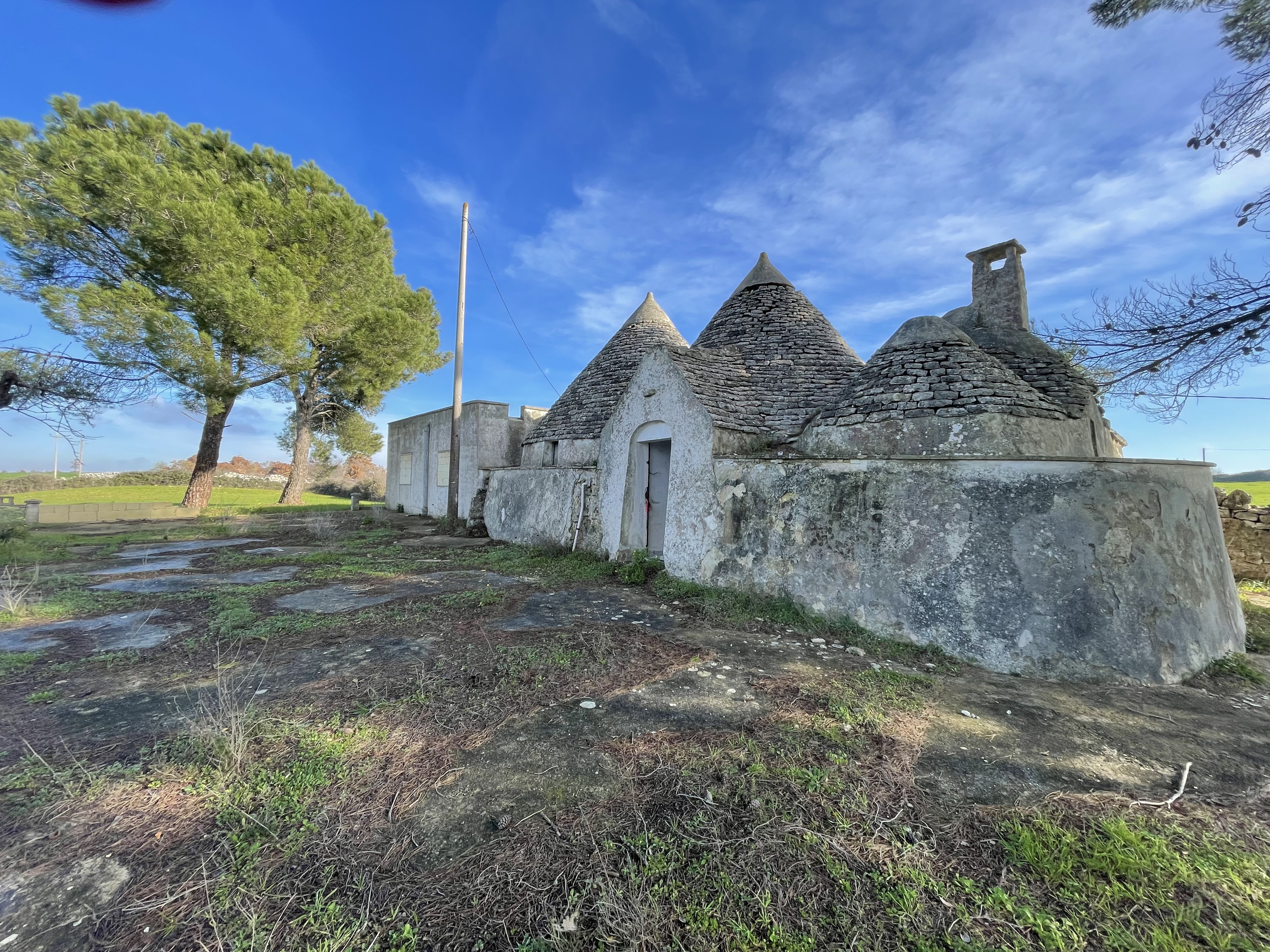 House in Martina Franca - Image 2