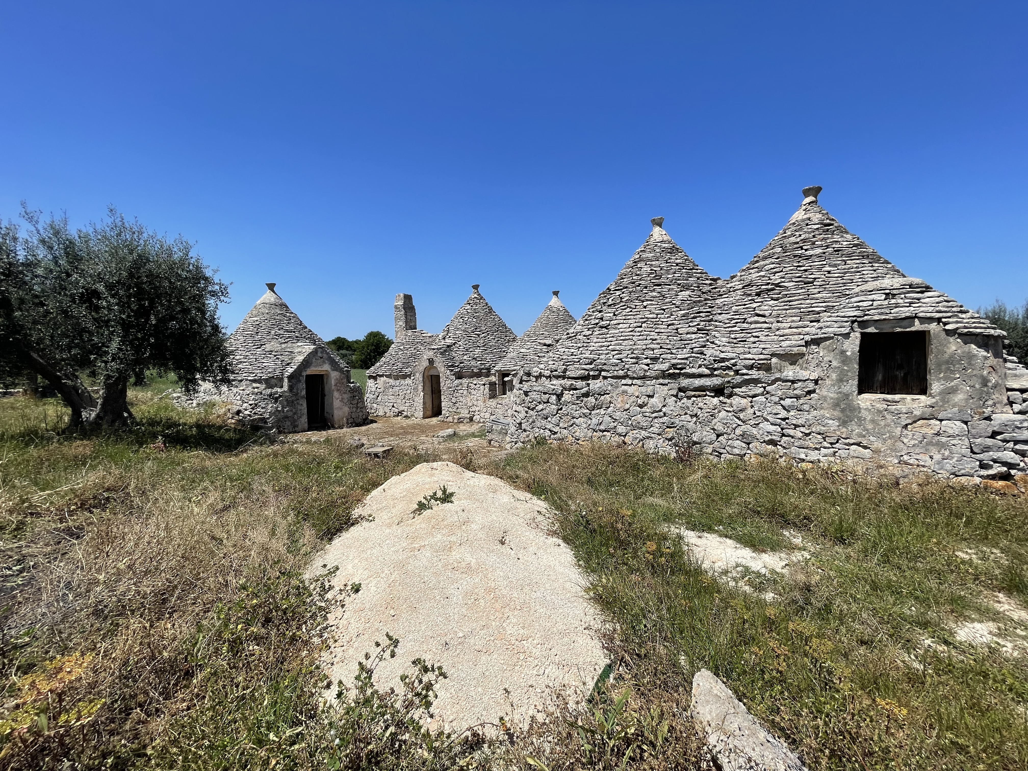 House in Martina Franca - Image 3