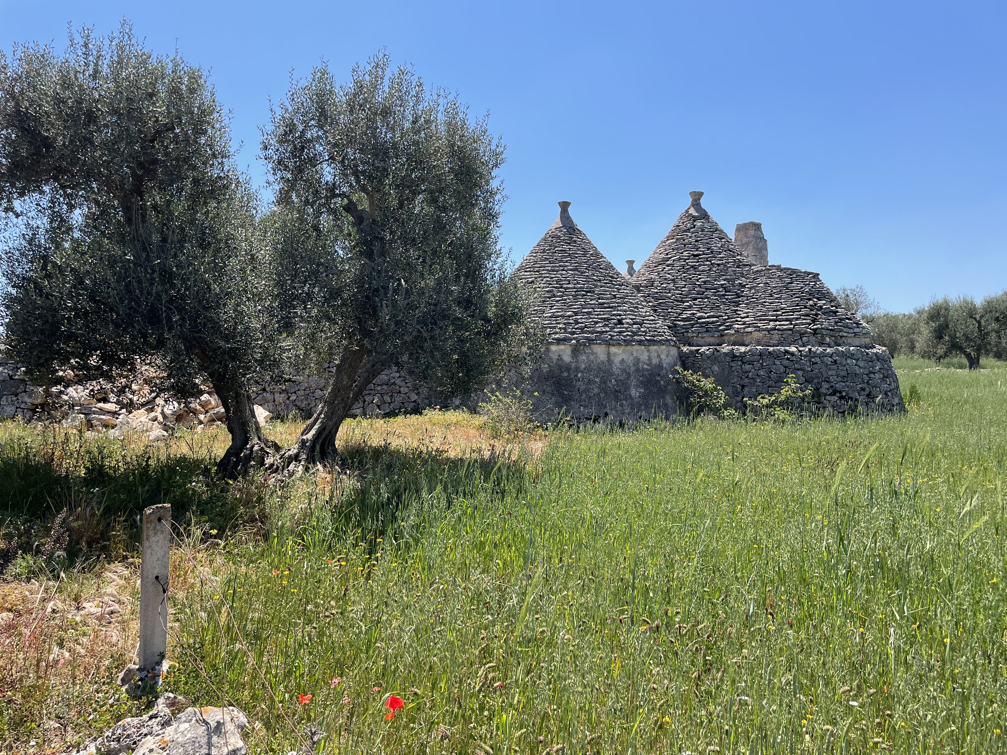 House in Martina Franca - Image 5