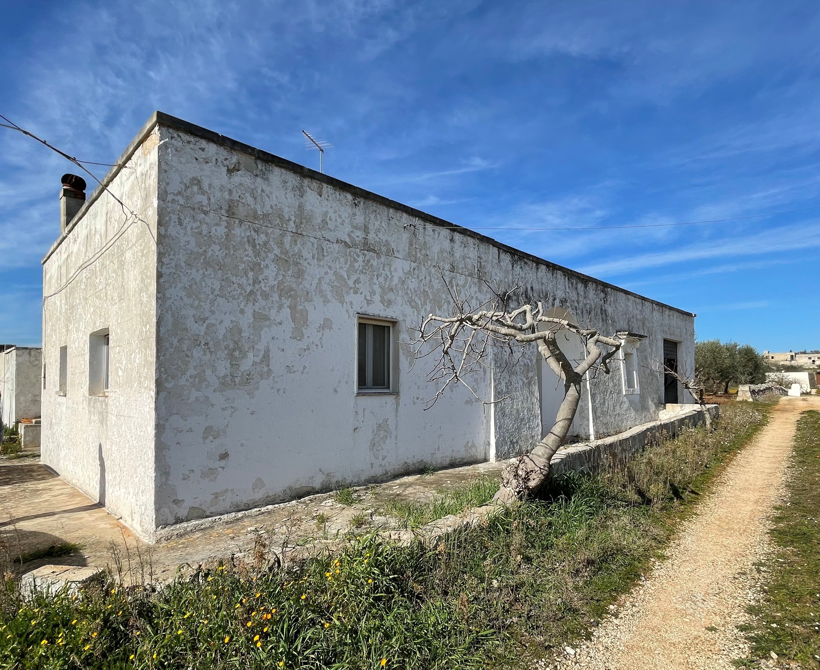 House in Martina Franca - Image 2