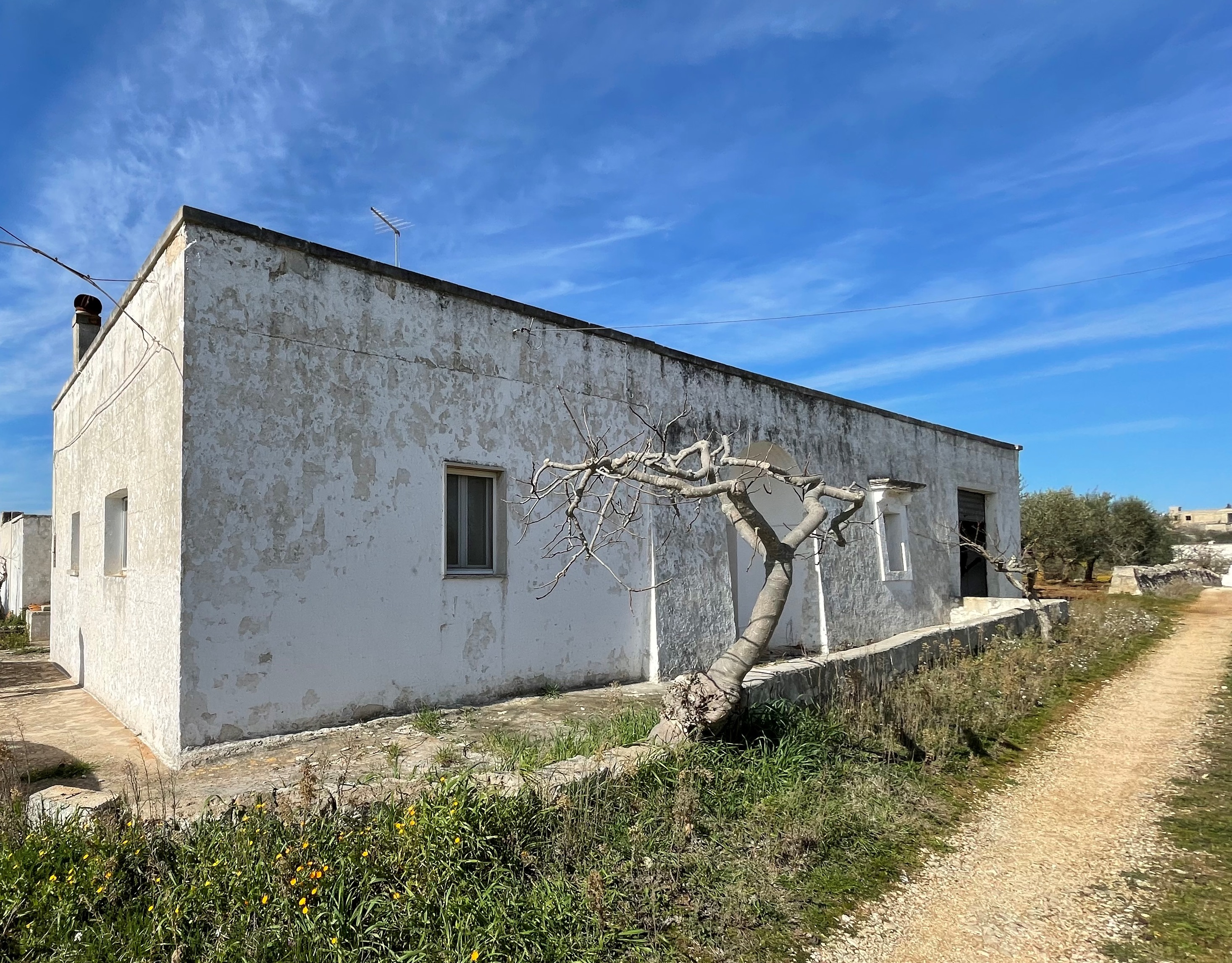 House in Martina Franca - Image 3