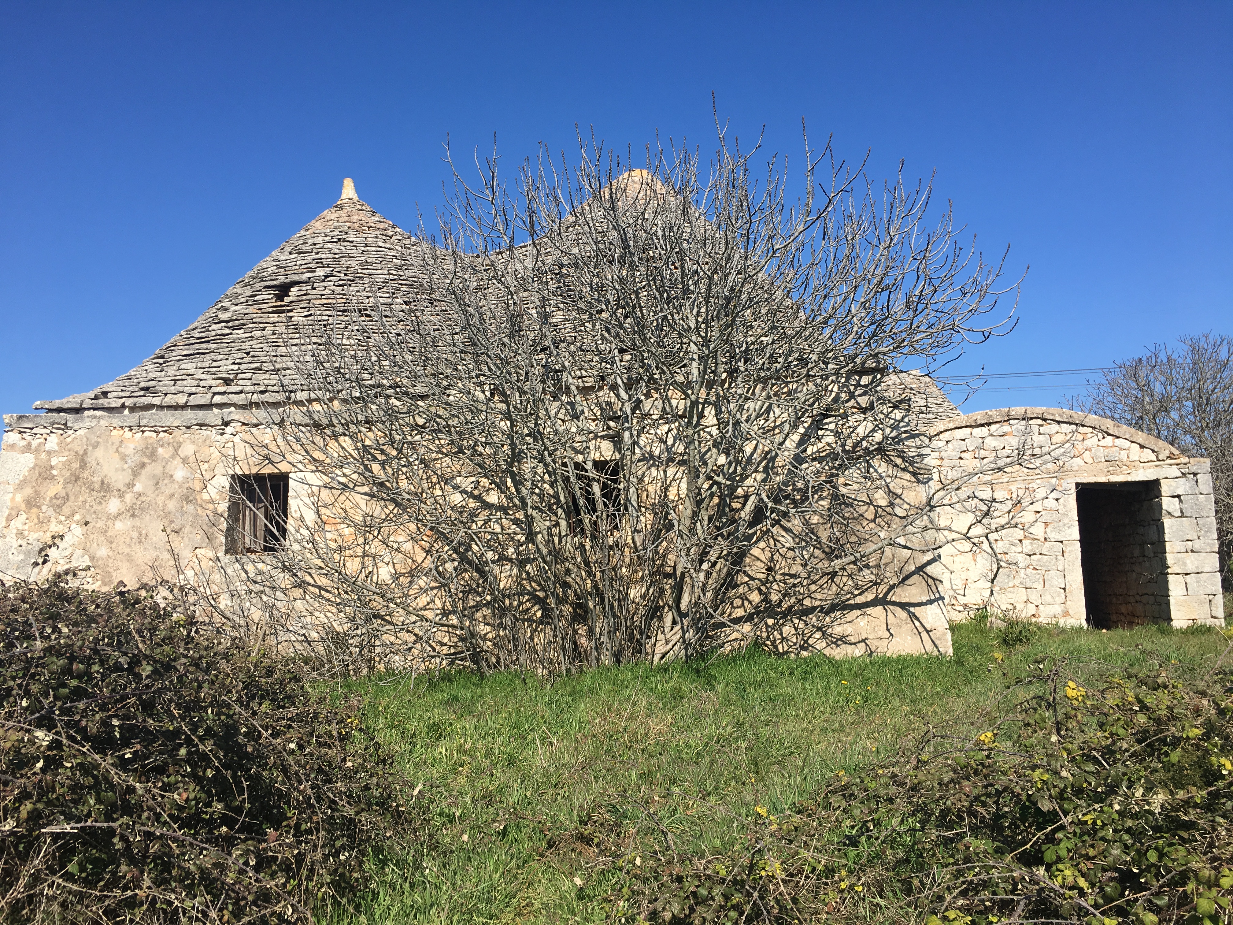 House in Noci - Image 2