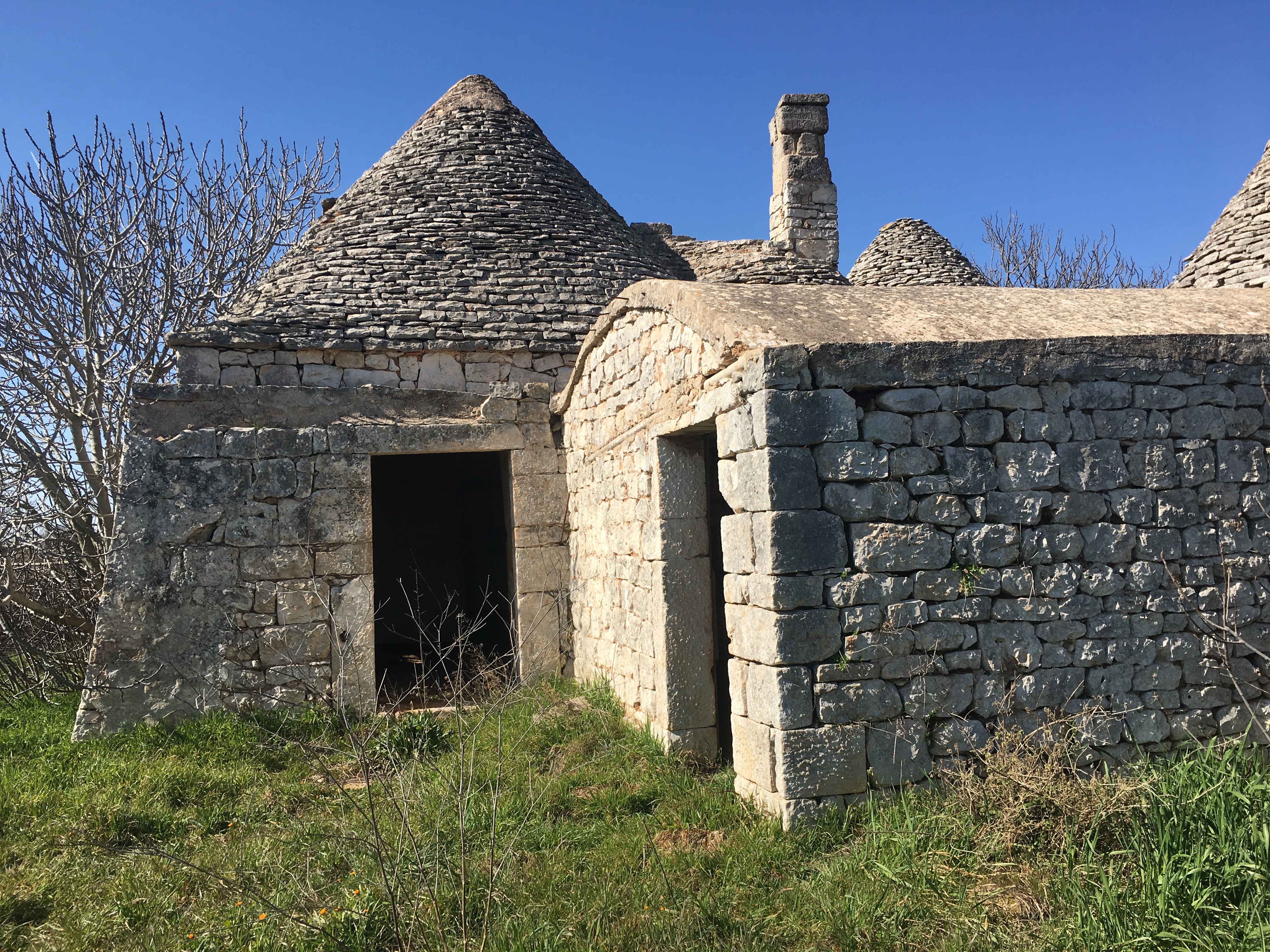 House in Noci - Image 4